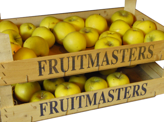 fruit-uit-eigen-volkstuin-medemblik